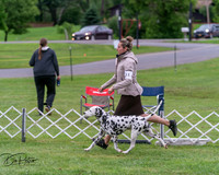 20250627-DSC06351