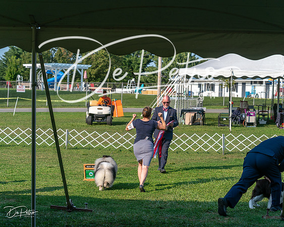 20240913-DSC00516
