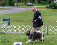 20250627-DSC06374