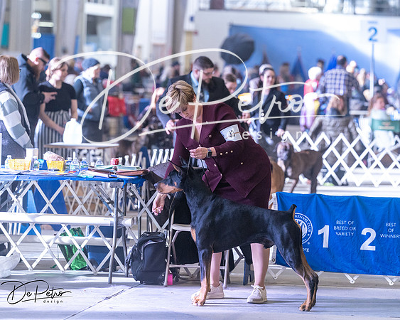 20250302-DSC07220