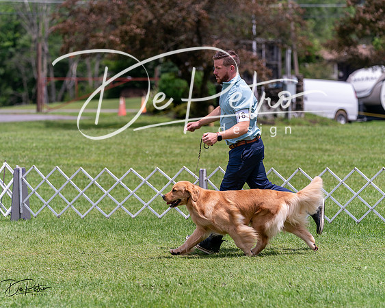 20240630-DSC00573
