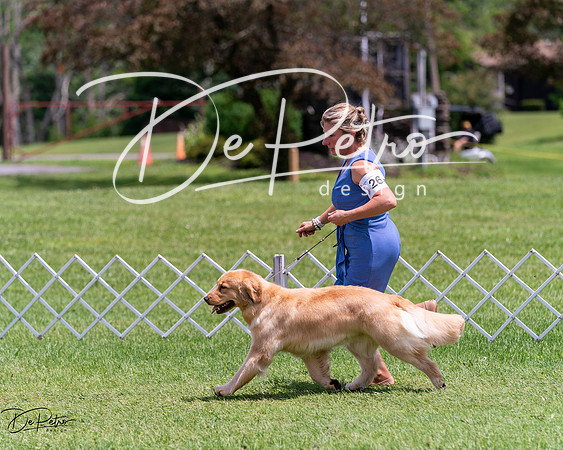 20240630-DSC00404