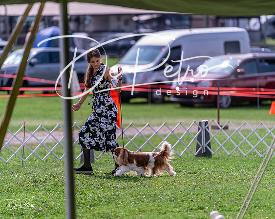 20240815-DSC06560
