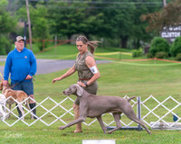 20250626-DSC03939