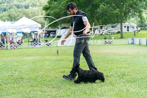 20240630-DSC05493