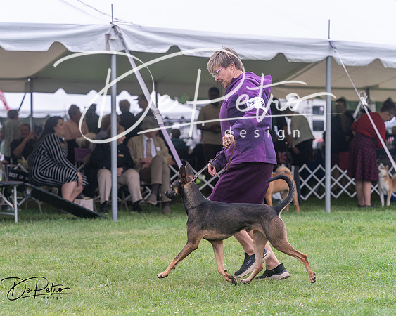 20250627-DSC06571