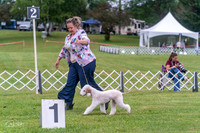 20250626-DSC02673