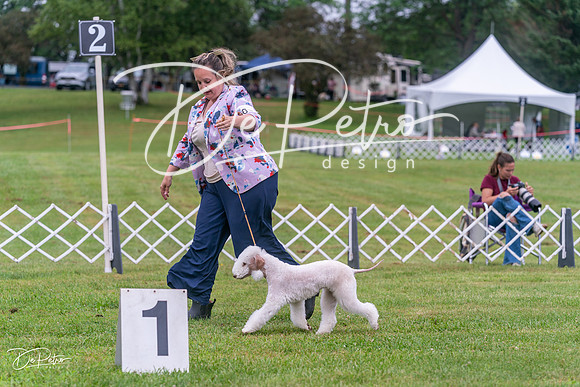 20250626-DSC02673