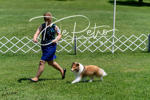 20240630-DSC01378