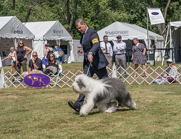 20220620-DSC04060