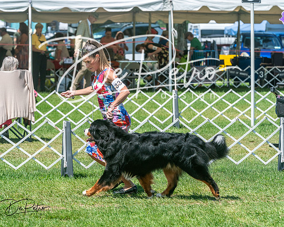20250629-DSC09258