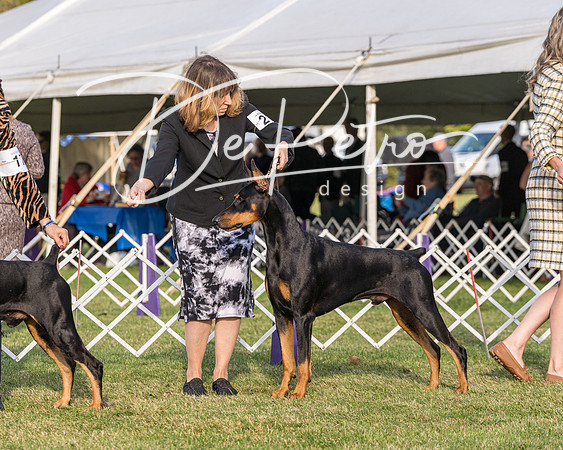 20190929-DSC02019