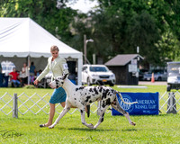 20240630-DSC02844