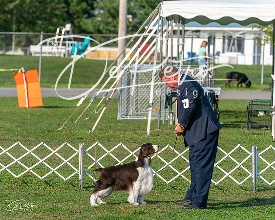 20240913-DSC00319