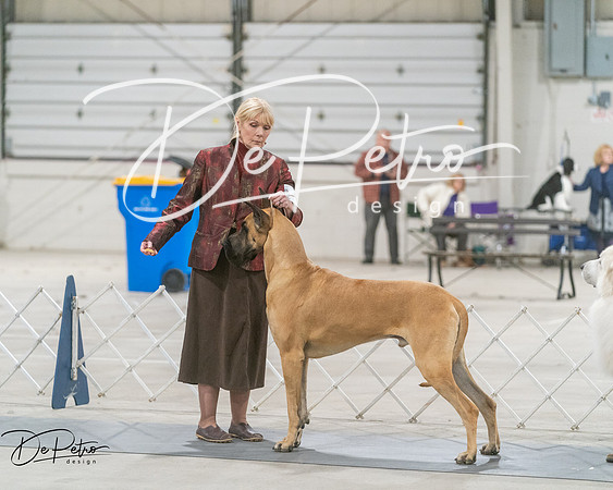 20250302-DSC07669