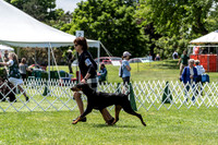 20190609-DSC09393