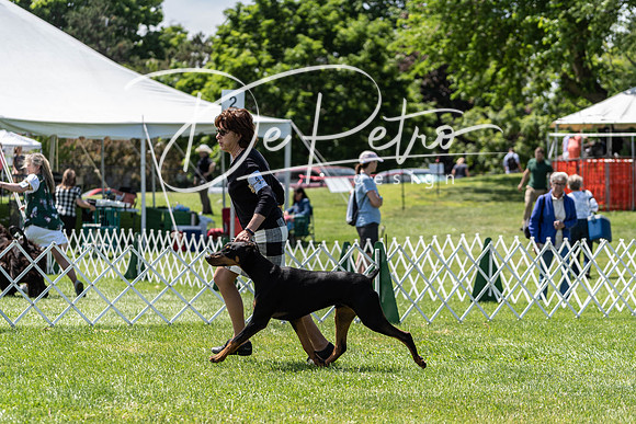 20190609-DSC09393