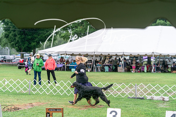 20240629-DSC06865
