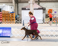 20250301-DSC03904