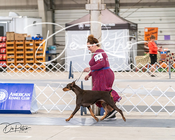 20250301-DSC03904
