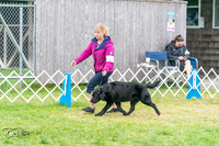 20240428-DSC00028