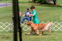 20250628-DSC07737
