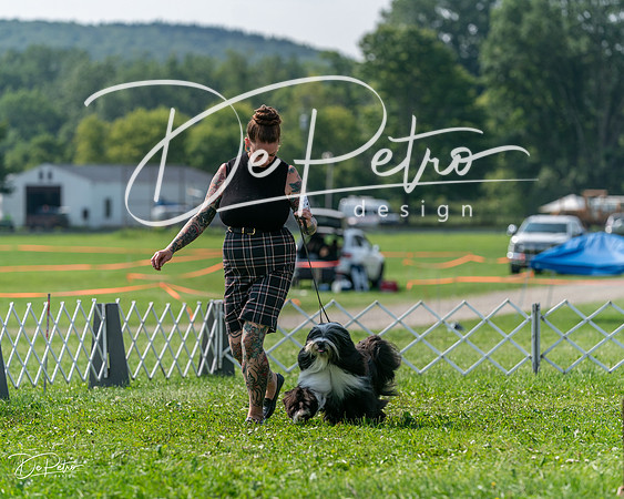 20240816-DSC00916