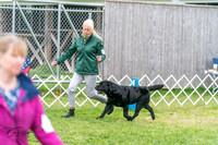 20240428-DSC00060