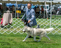 20250629-DSC09373