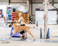 20250301-DSC03896