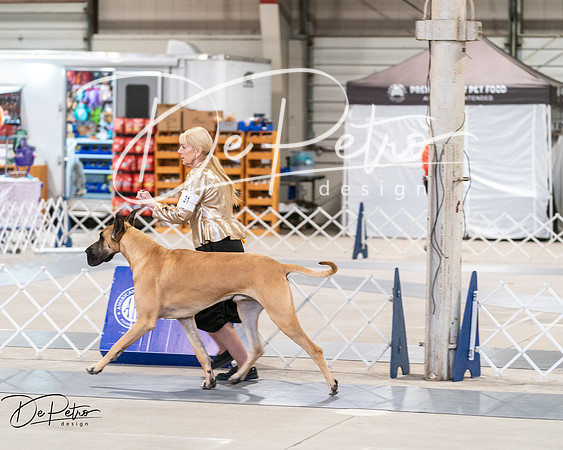20250301-DSC03896