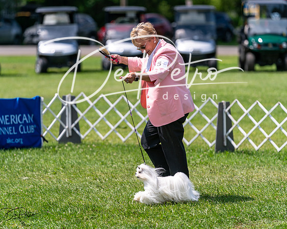 20240630-DSC01646