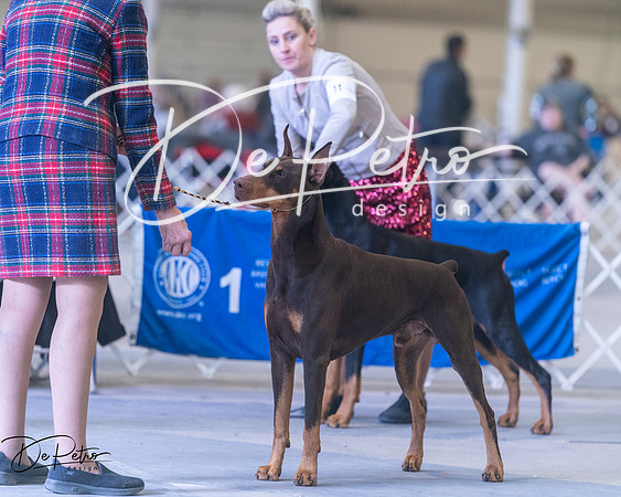 20250302-DSC07012