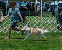 20250629-DSC09324