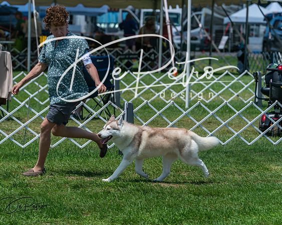 20250629-DSC09324