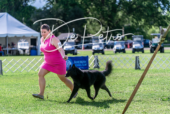 20240630-DSC04659