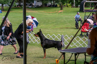 20250628-DSC07991