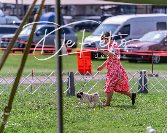 20240815-DSC06580
