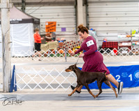 20250301-DSC03898