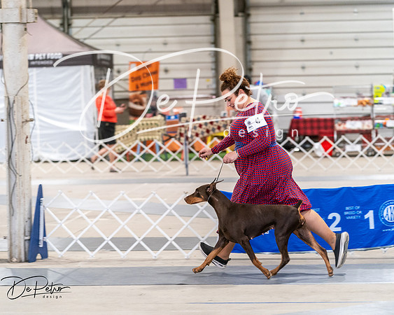 20250301-DSC03898