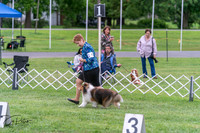 20250627-DSC06248