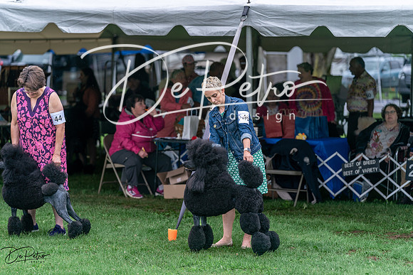 20240629-DSC05709
