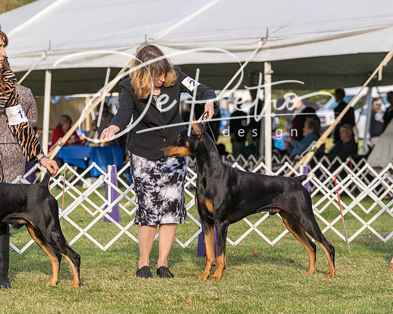 20190929-DSC02021
