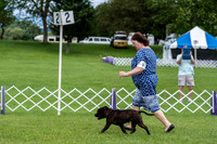 20190630-DSC06460