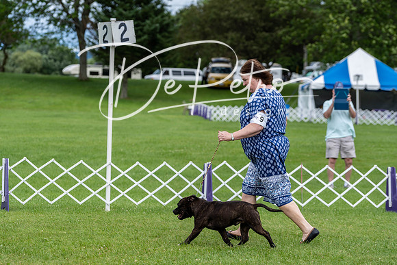 20190630-DSC06460
