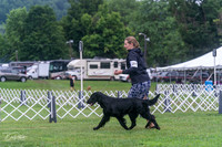 20250626-DSC02292
