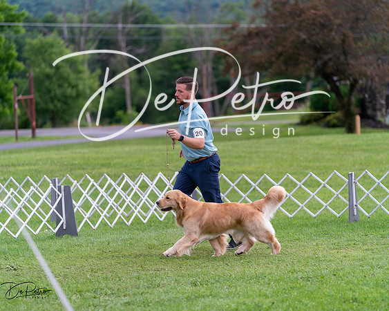 20240630-DSC00965