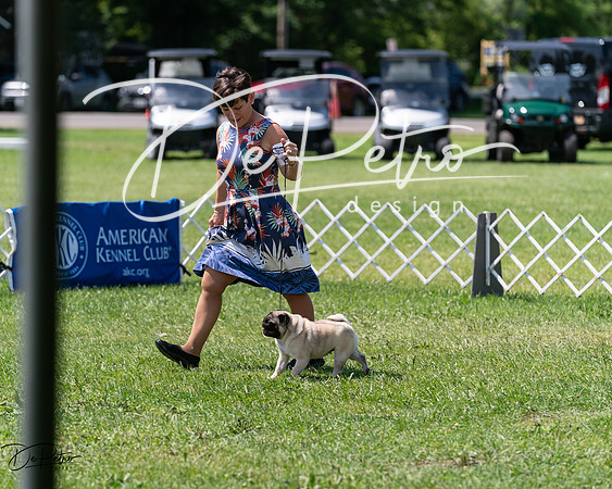 20240630-DSC01497