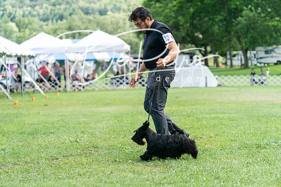 20240630-DSC05499