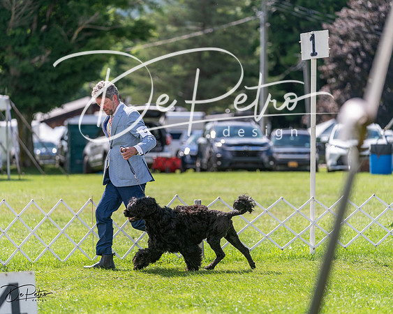 20240630-DSC02933